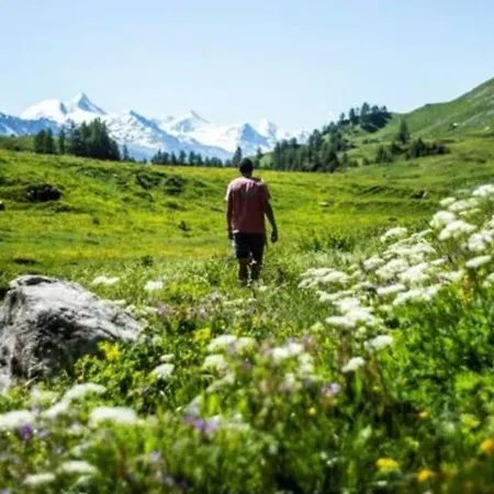 Vue Degagee Jeanne D'arc Daire *