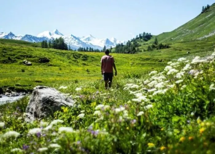 Vue Degagee Jeanne D'arc Daire *